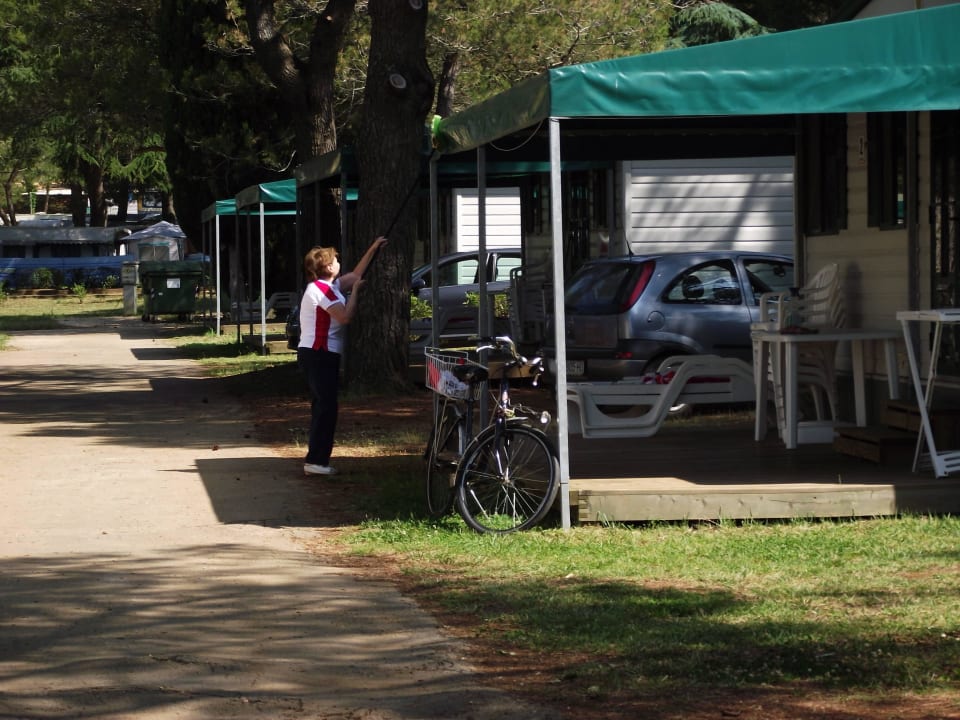 Ein Teil vom Team bei der Arbeit Maistra Camping Valkanela