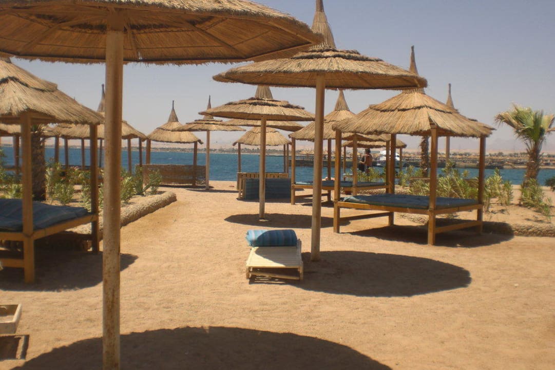 Liegen am Strand Pickalbatros Aqua Vista Resort - Hurghada