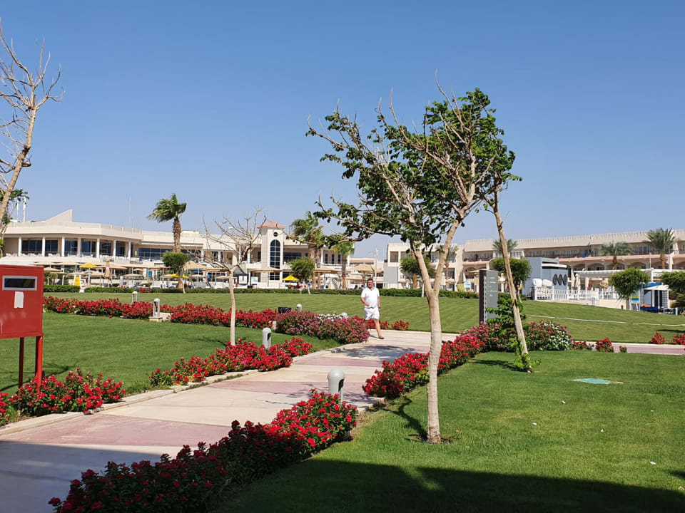 Garten Pickalbatros Royal Moderna Resort-Sharm El Sheikh