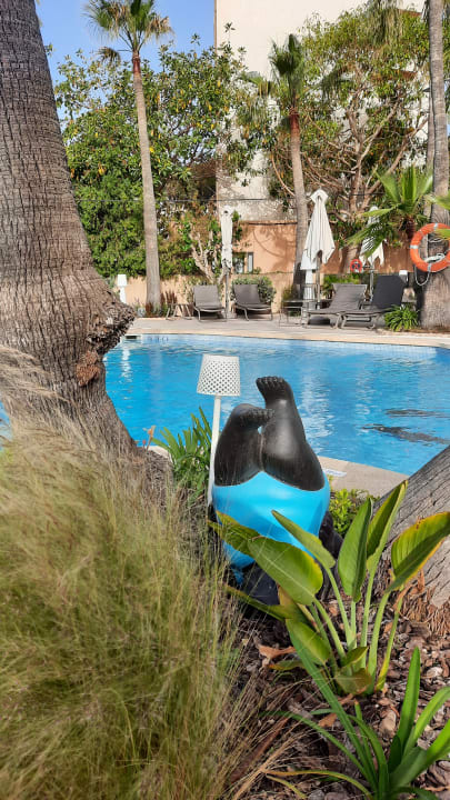 Pool allsun Hotel Cormoran