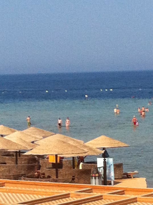 Sun beds with privacy screen on beach Makadi Spa - Adults only