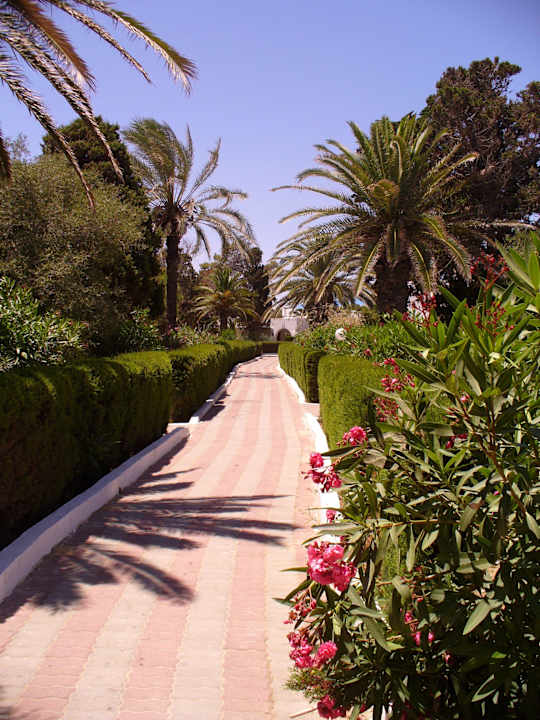 Weg im Garten Royal Lido Resort & Spa
