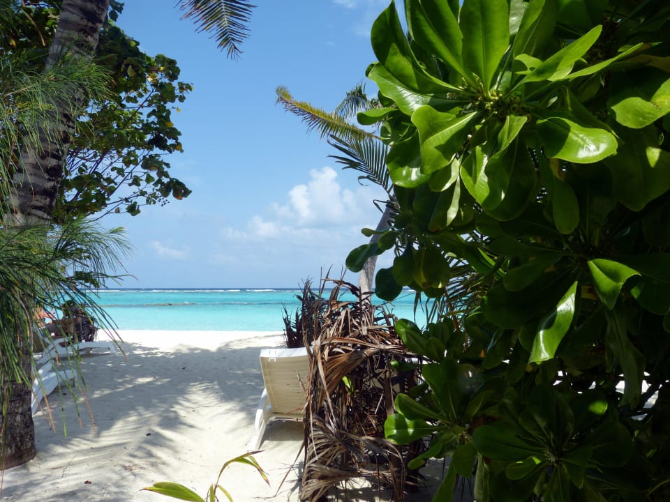 Superiorbungalow 216 Summer Island Maldives