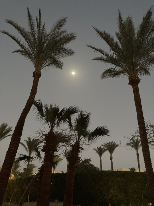 Ausblick Jaz Makadi Oasis Resort