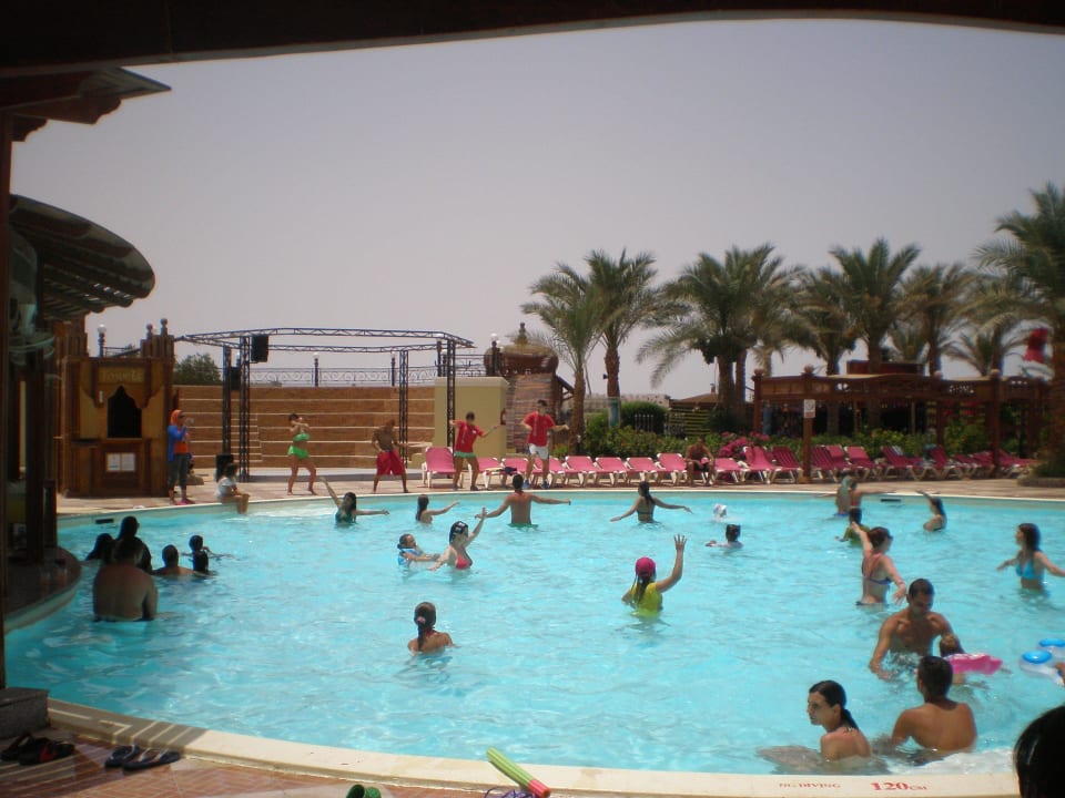 Анимация Riviera Aqua Park Resort