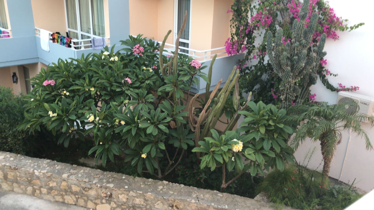 Gartenanlage Hotel Kathrin Beach