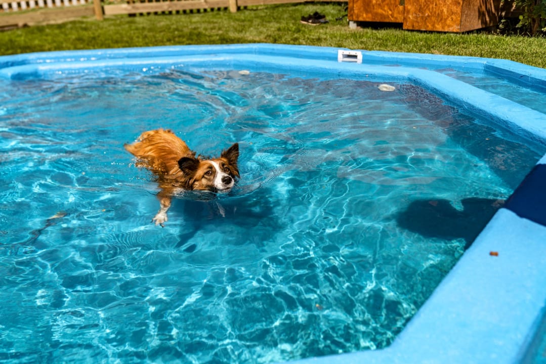 Pool Almfrieden Hotel & Romantikchalet