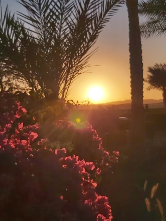 Gartenanlage Novotel Marsa Alam Beach Resort