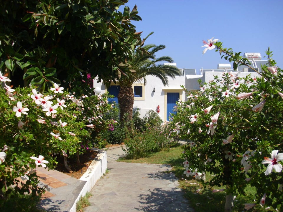 Bungalow TUI SUNEO Chrissi Amoudia