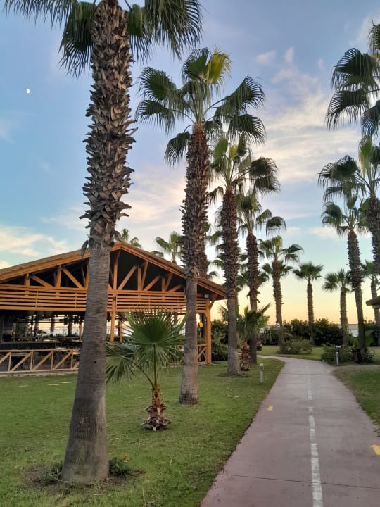 Gastro Saturn Palace Resort Hotel