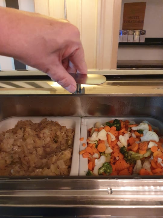 Gastro Hotel Forsthaus Nürnberg-Fürth