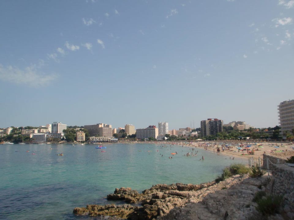 Strand von Palma Nova Hotel BelleVue Vistanova