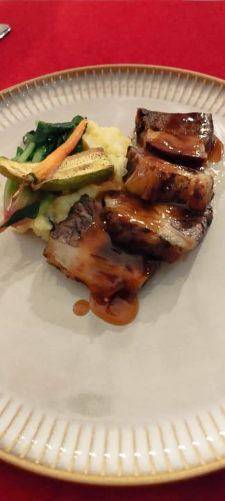 Gastro Acanthus Cennet Barut Collection