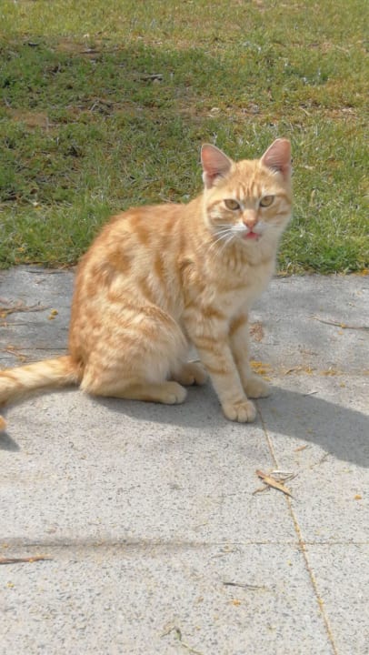 Sonstiges Kamelya Selin Hotel