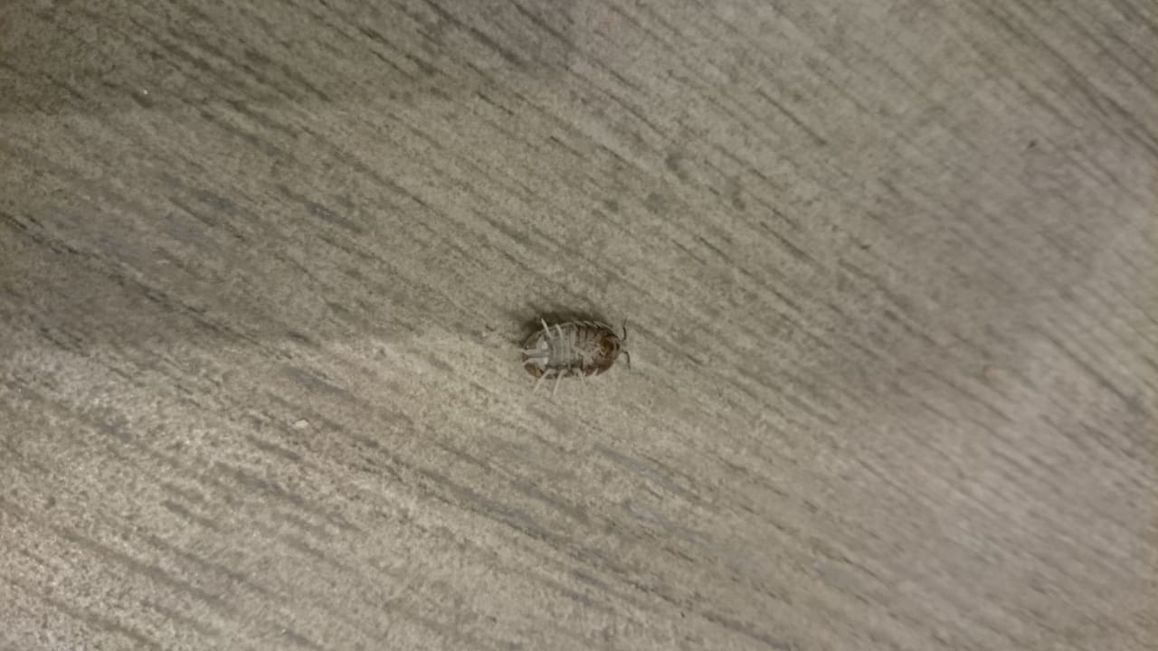 Zimmer allsun Hotel Lux de Mar