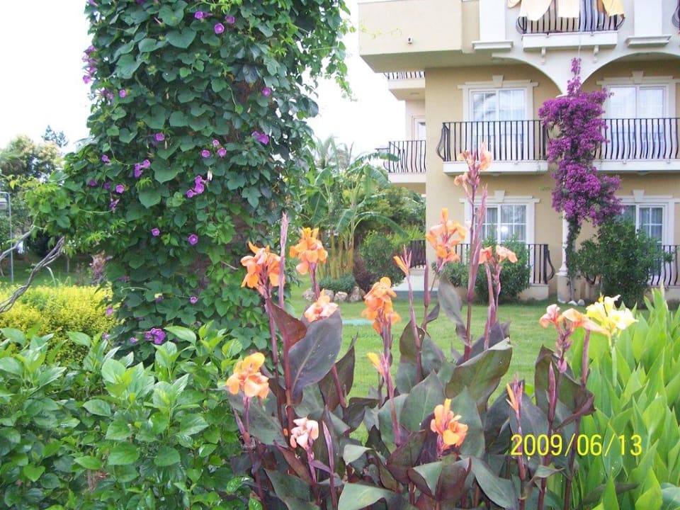 Schöne Gartenanlage Belek Beach Resort Hotel