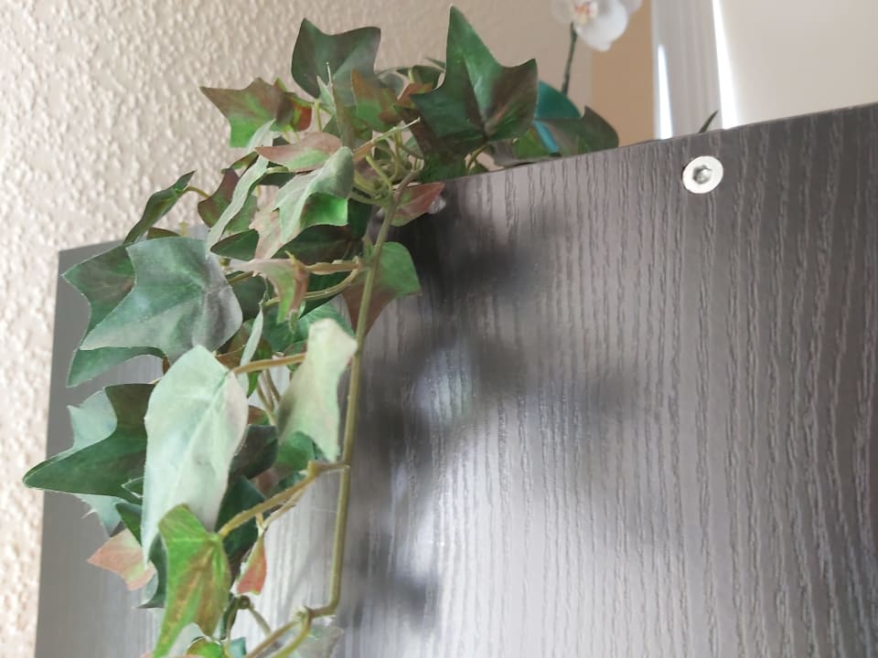 Zimmer Hotel Landhaus Wachendorf