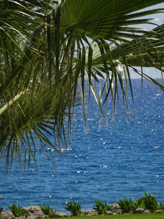 Blick aufs Meer Rodos Palladium Leisure & Wellness