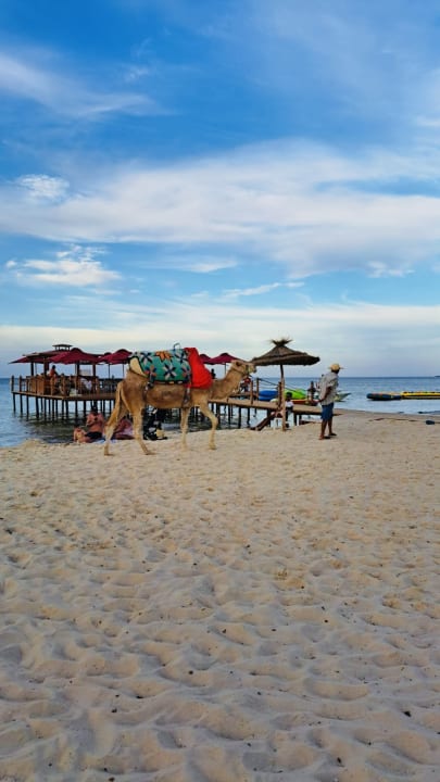 Strand Sahara Beach Aquapark & Resort