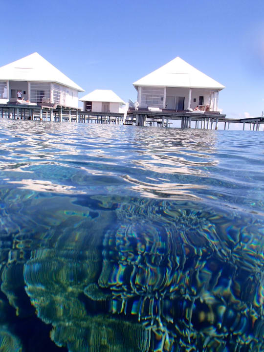 Korallengärten direkt bei Wasservillen Diamonds Thudufushi