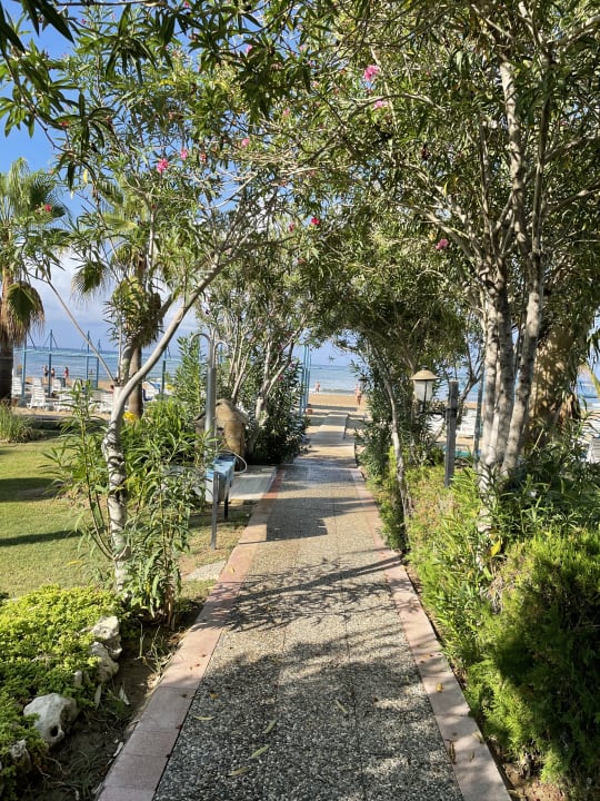 Gartenanlage Iz Flower Side Beach Hotel