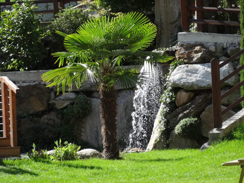 Schwimmteich Wasserfall Quellenhof Luxury Resort Passeier