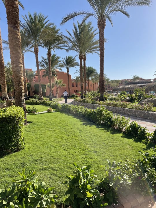 Gartenanlage Jaz Makadi Oasis Resort