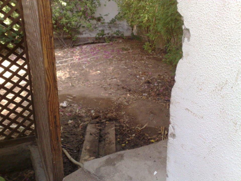 Neben unserer Terrasse Ghazala Beach