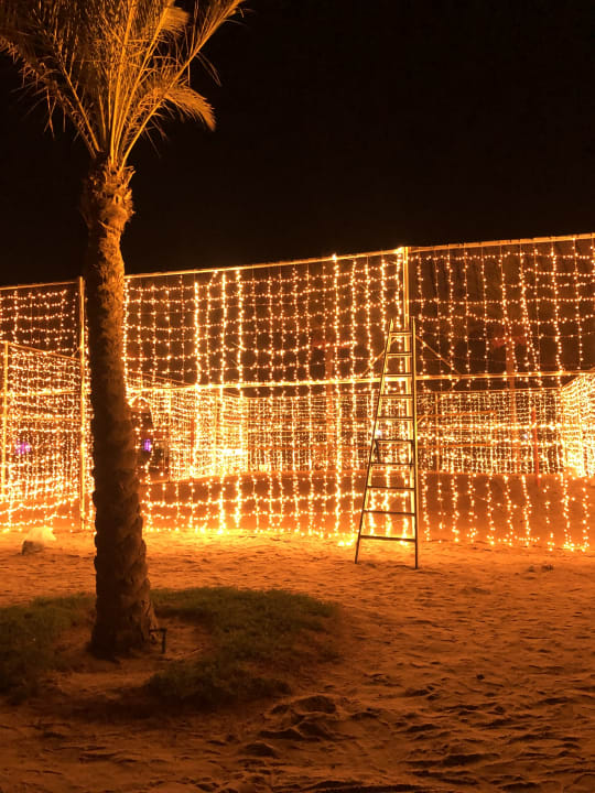 Sport & Freizeit Desert Rose