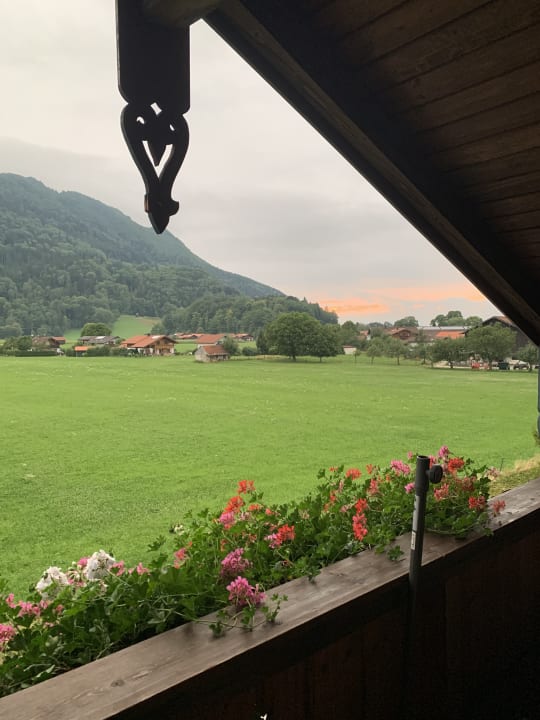 Ausblick Ferienwohnung Gamsei