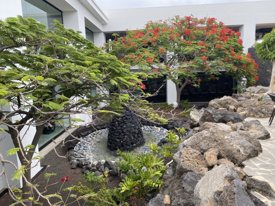 Ausblick allsun App.-Hotel Albatros