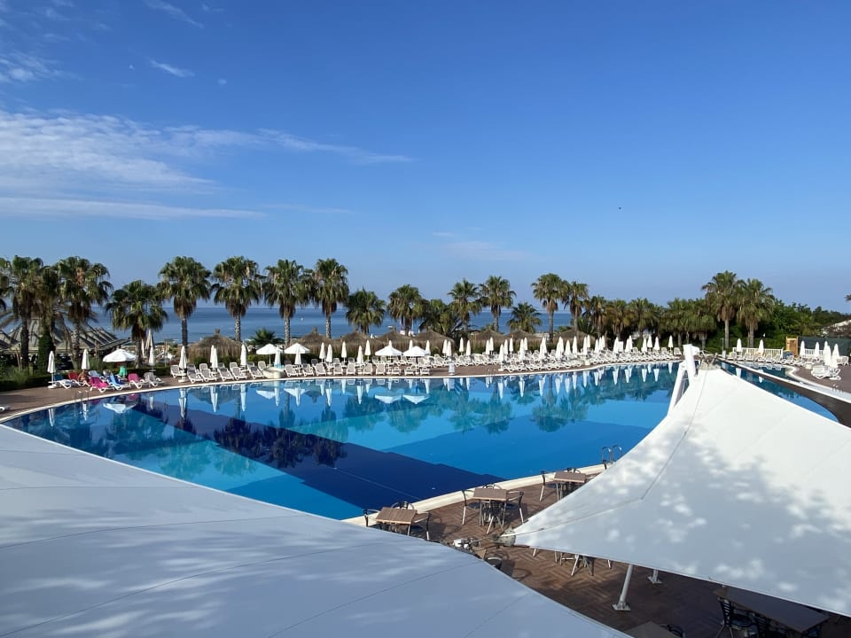 Pool Paloma Oceana
