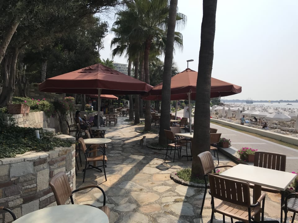 Restaurant Arum Barut Collection