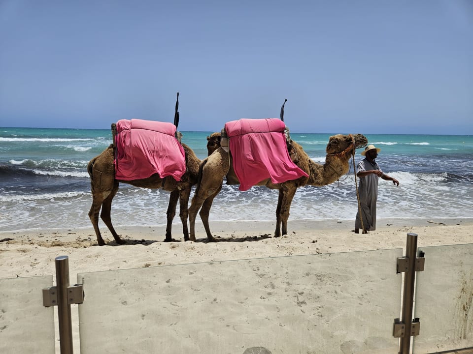 Strand ROBINSON DJERBA BAHIYA