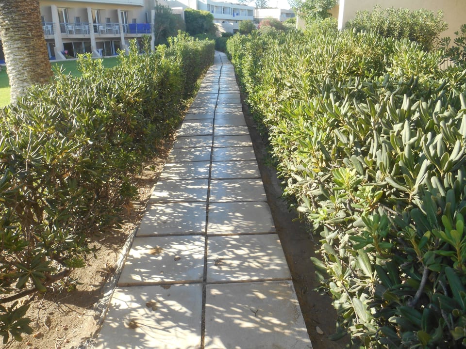 Weg zum Strand Santa Marina Beach