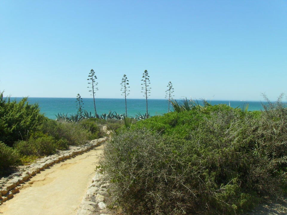 Weg zum Strand Hotel Riu Chiclana