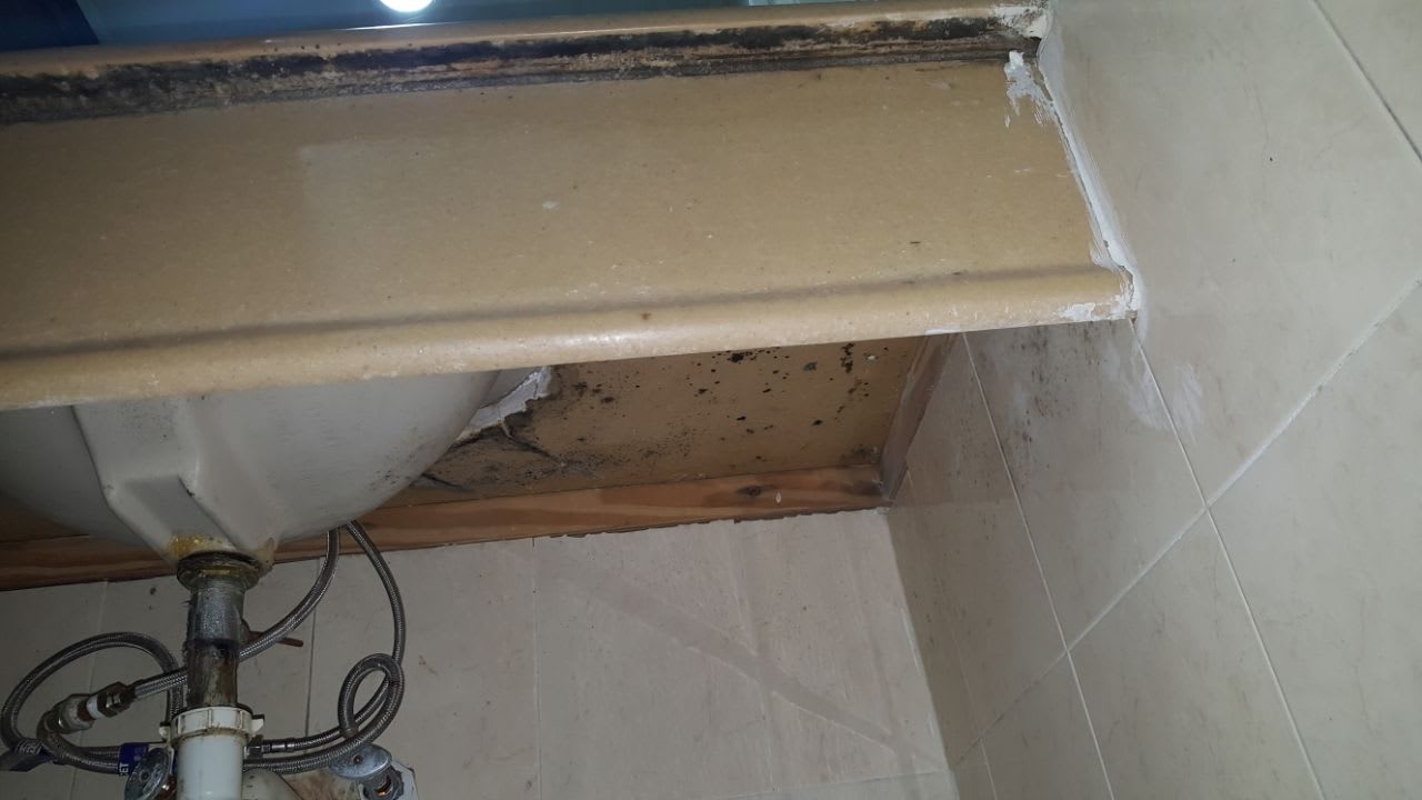 Zimmer Hotel Viva Dominicus Beach by Wyndham - All Inclusive Resort