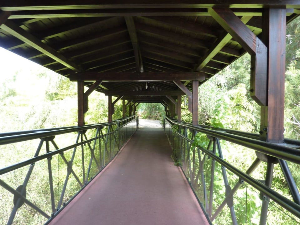 Magic Life - Impressionen Asteria Family Belek