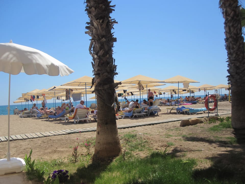 Hotel-Strand Asteria Collection Side