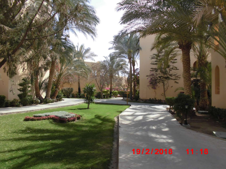 Gartenanlage Steigenberger Coraya Beach - Adults only