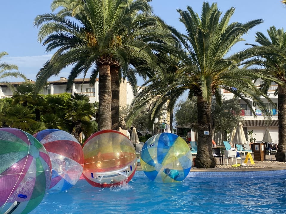 Pool Alcudia Garden Aparthotel