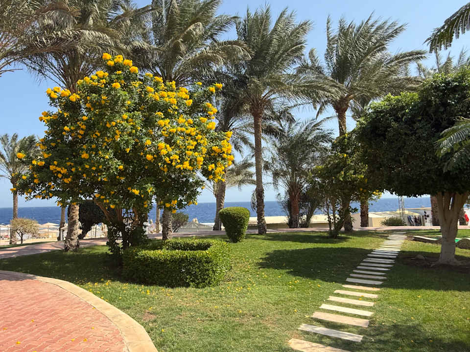 Gartenanlage Serenity Alpha Beach