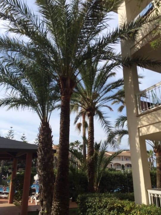 Einfach schön Playa Garden Selection Hotel & Spa
