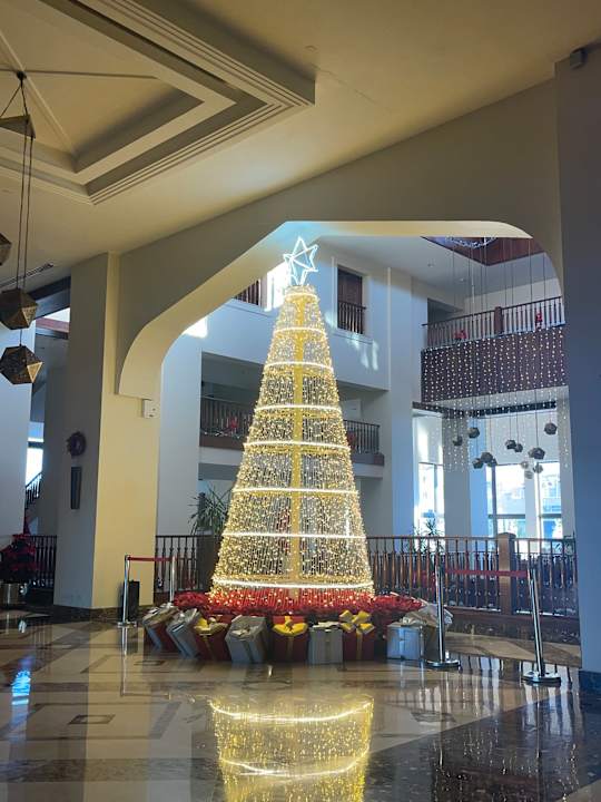 Lobby Steigenberger Aqua Magic