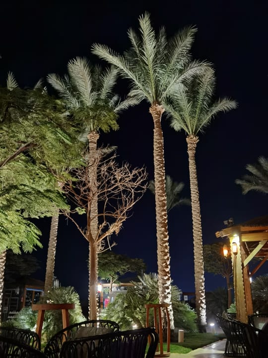 Gastro Grand Waterworld Makadi & Family Star Makadi