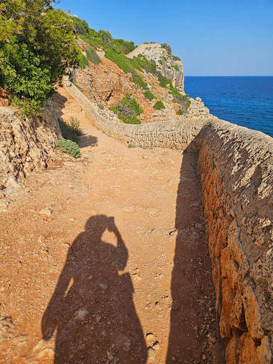 Sonstiges blau punta reina