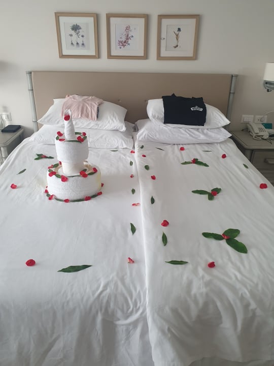 Zimmer JAZ Elite Casa del Mar Beach