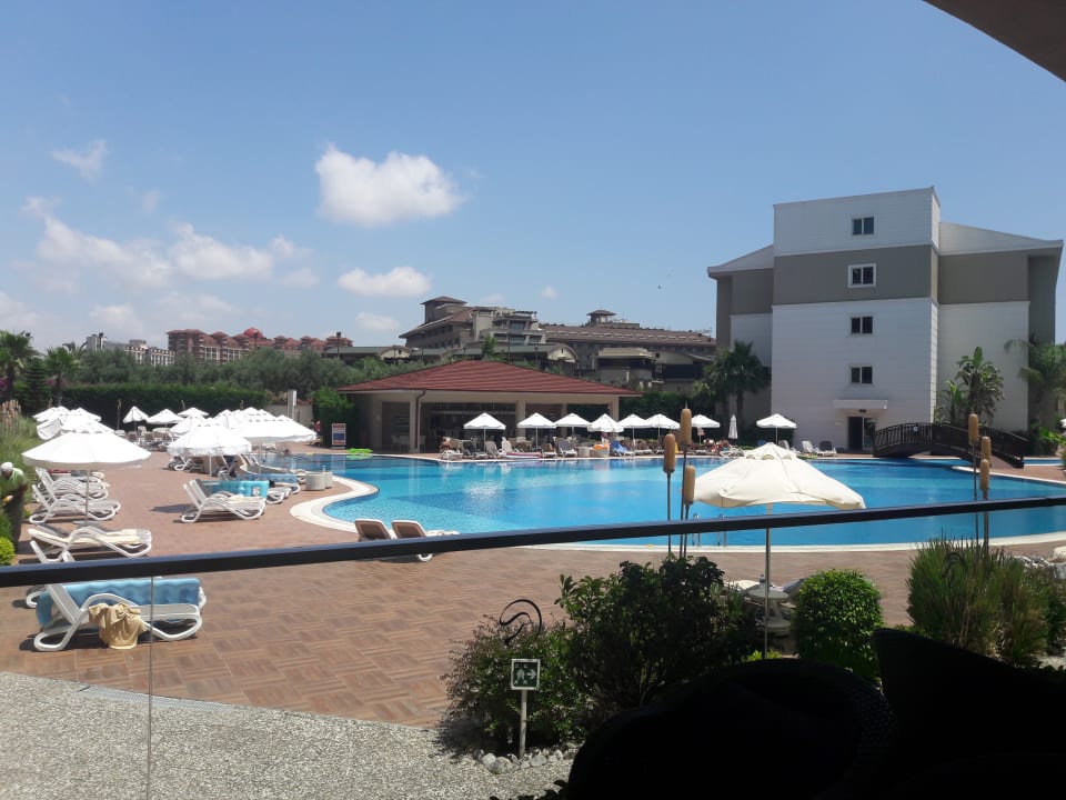 Pool Paloma Oceana