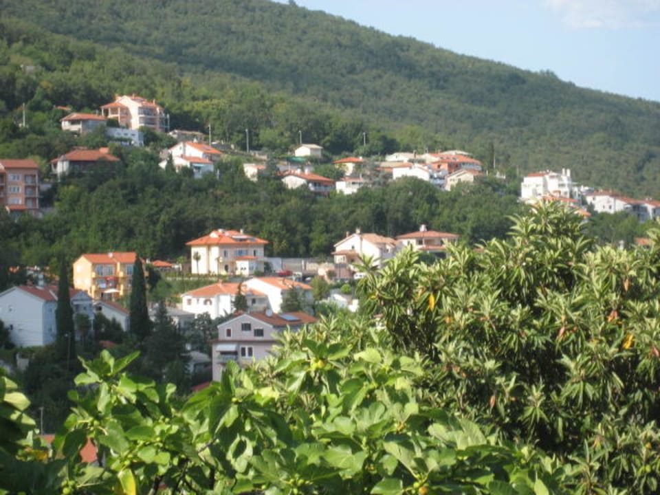 Ausblick aus Appartement nach Norden Pension Salyna