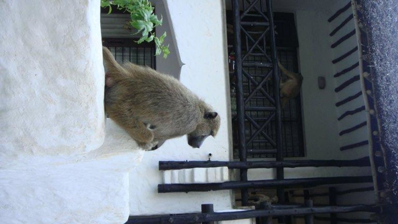 Вид на здание отеля Hotel Papillon Lagoon Reef